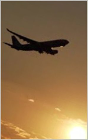 Read Online 海外に行くための準備：旅行、仕事、愛、そして自由を New Japanese Edition Release PREPARE TO GO ABROAD: TRAVEL, WORK, LOVE, & FREEDOM: 英語 - 日本語バイリンガル版 English - Japanese Bilingual Edition - M. Lawrence | ePub