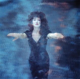Download THE KATE INSIDE - KATE BUSH photographed by GUIDO HARAI, 1982-1993, Collectors' Edition - Guido Harai | PDF
