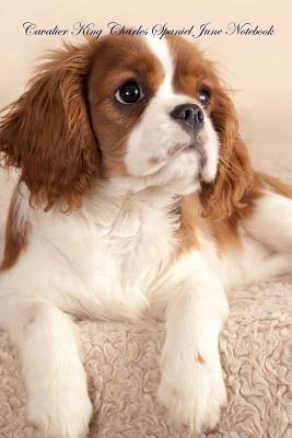 Read Online Cavalier King Charles Spaniel June Notebook Cavalier King Charles Spaniel Record, Log, Diary, Special Memories, To Do List, Academic Notepad, Scrapbook & More - Spaniel World | PDF