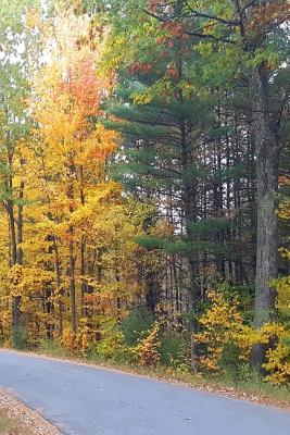 Read Online Journal Pretty Fall Colors Country Road: (Notebook, Diary, Blank Book) -  | ePub