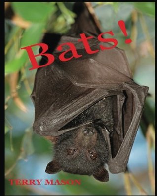 Download Bats: Learn About These Strange and Wonderful Creatures of the Night - Terry Mason file in ePub