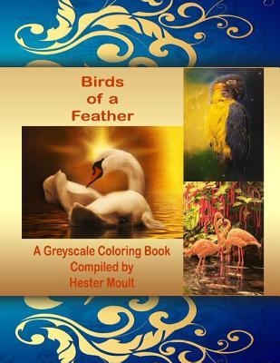 Read Birds of a Feather: A Greyscale Coloring Book - Hester Moult file in PDF