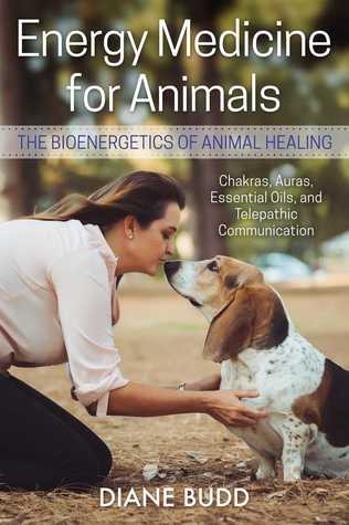 Download Energy Medicine for Animals: The Bioenergetics of Animal Healing - Diane Budd file in ePub