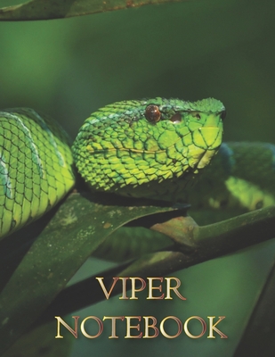 Read Viper NOTEBOOK: Notebooks and Journals 110 pages (8.5x11) - Jessie Park file in PDF